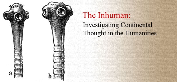 					View The Inhuman: Investigating Continental Thought in the Humanities
				